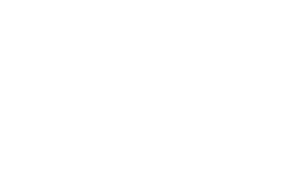 Delft Logo